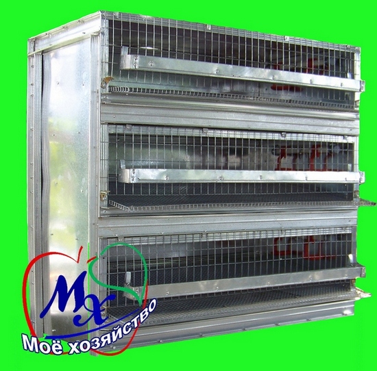  Кліткова батарея на 100 перепелів